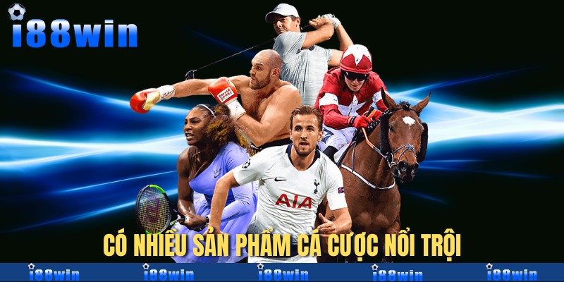 Có nhiều sản phẩm cá cược nổi trội